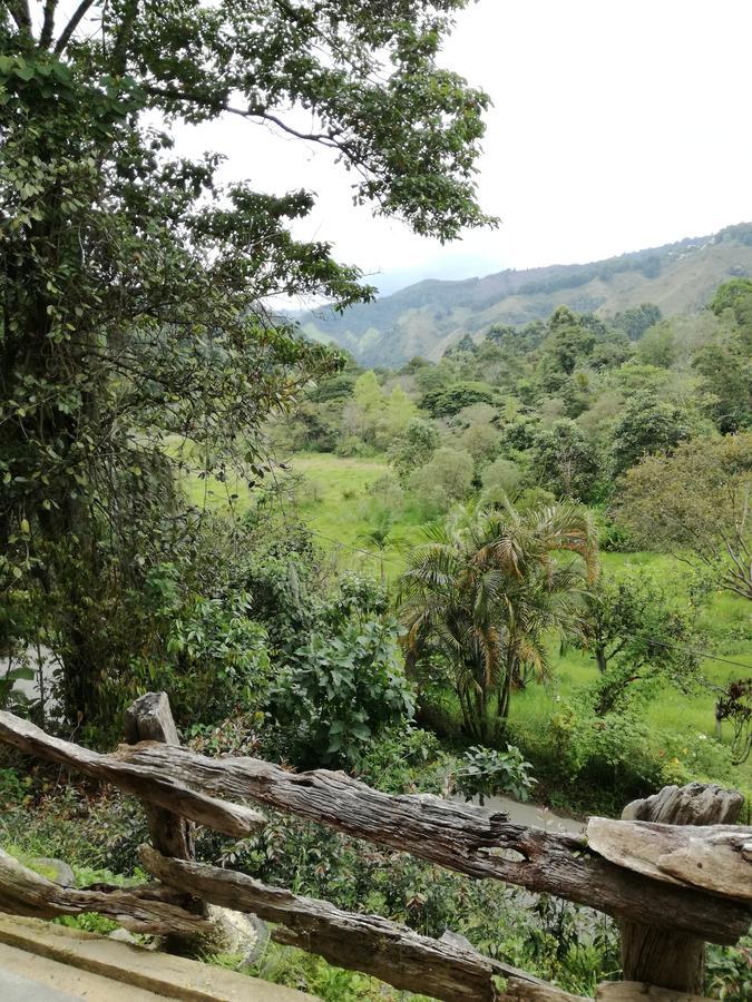 Ecorefugio Las Mirlas ซาเลนโต ภายนอก รูปภาพ