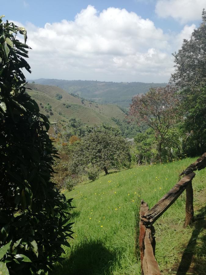 Ecorefugio Las Mirlas ซาเลนโต ภายนอก รูปภาพ