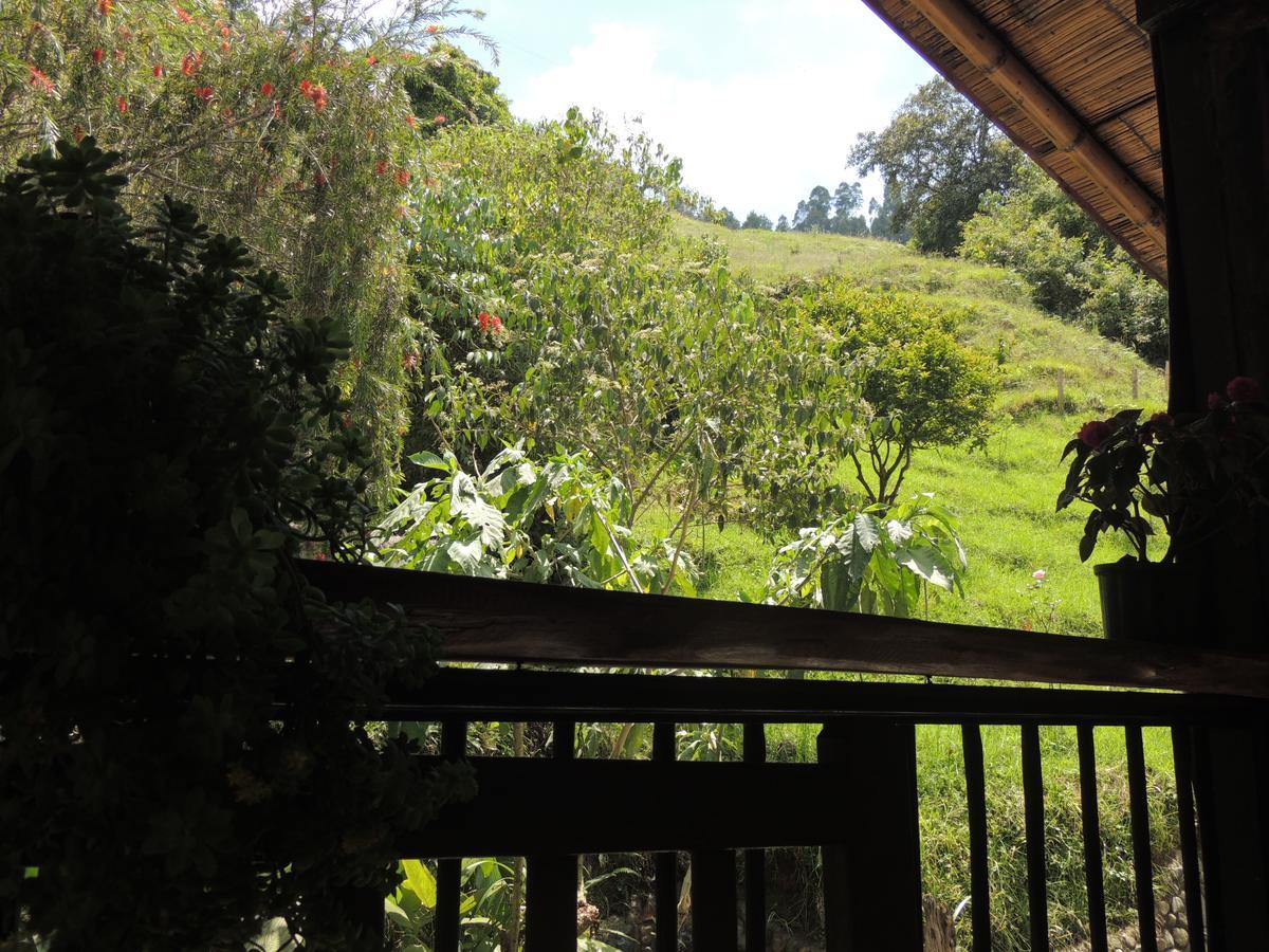 Ecorefugio Las Mirlas ซาเลนโต ภายนอก รูปภาพ